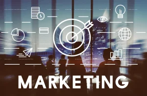 Schema Markup Strategies
